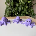 Bộ mô hình sinh vật biển - Sea animals set - Thumbnail 9