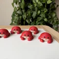 Bộ mô hình sinh vật biển - Sea animals set - Thumbnail 10