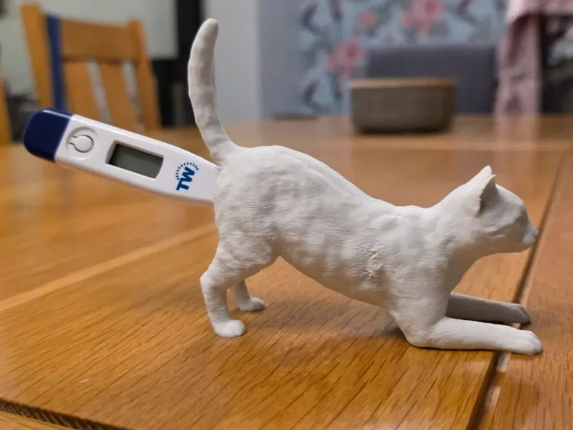 Mô hình chú mèo giữ nhiệt kế 3D độc đáo cho phòng khám thú y - Image 1