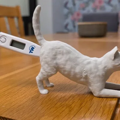 Mô hình chú mèo giữ nhiệt kế 3D độc đáo cho phòng khám thú y
