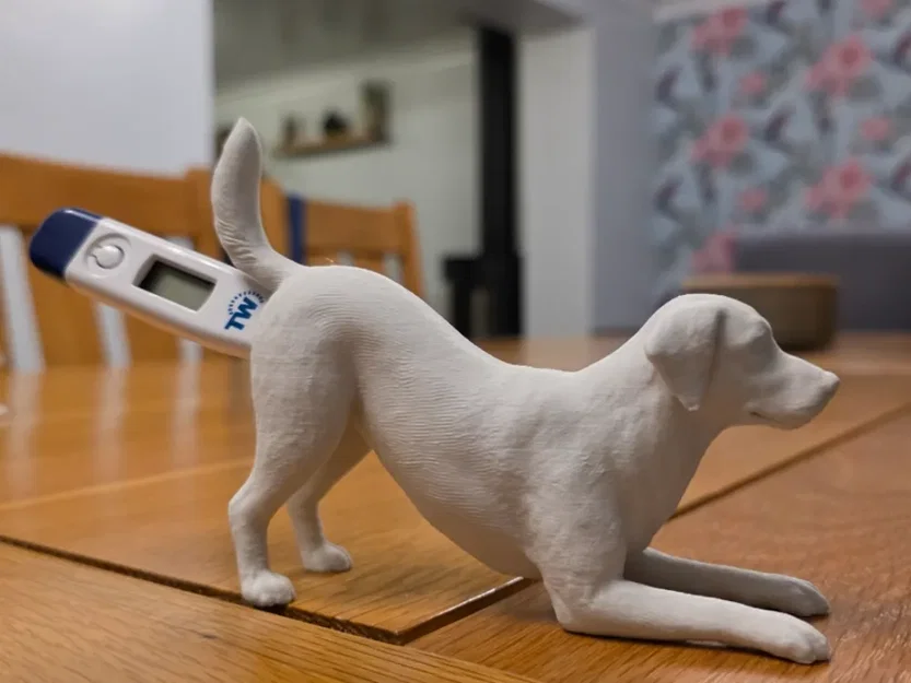 Mô hình chú chó 3D để giữ nhiệt kế cho phòng khám thú y - Image 1