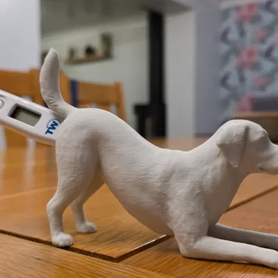 Mô hình chú chó 3D để giữ nhiệt kế cho phòng khám thú y