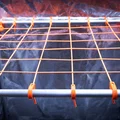 "The Hook" (Phần 1/3 của hệ thống SCROG - MXG_2) - Thumbnail 1