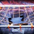 "The Hook" (Phần 1/3 của hệ thống SCROG - MXG_2) - Thumbnail 3