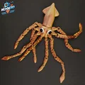 Mô hình Mực ống khớp nối (Articulated Squid) - Thumbnail 8