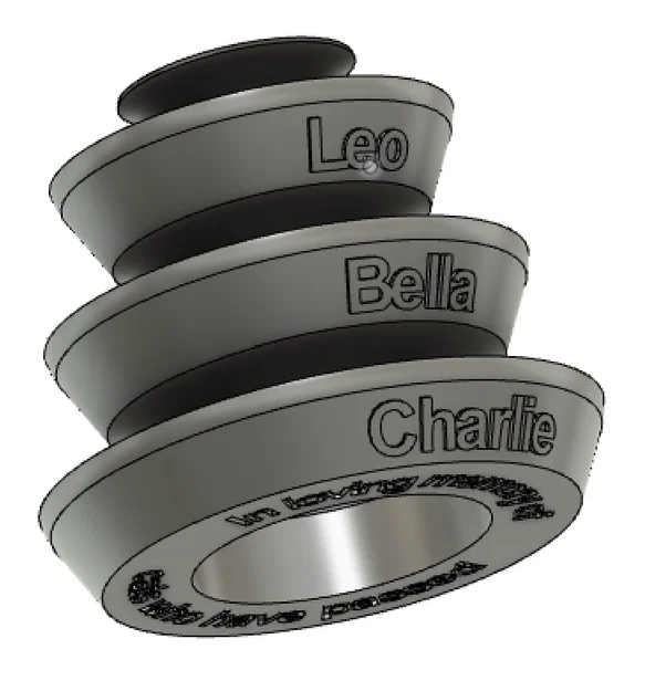 Đồ chơi bóng lăn cho mèo (Track Ball Cat Toy) - Image 2