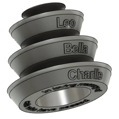 Đồ chơi bóng lăn cho mèo (Track Ball Cat Toy)