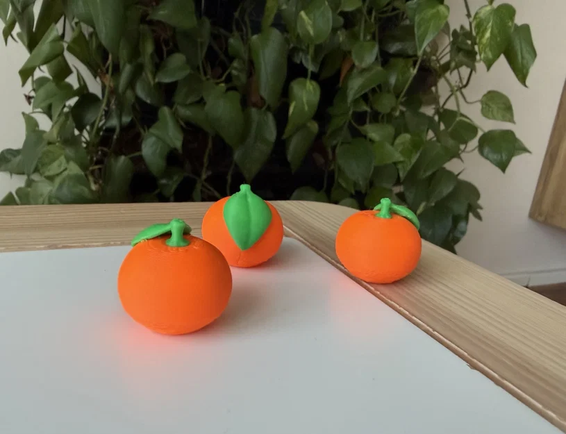 Mô hình Cam/Quýt thực tế (Orange/Mandarine) - Image 1