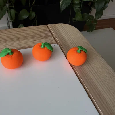 Mô hình Cam/Quýt thực tế (Orange/Mandarine)