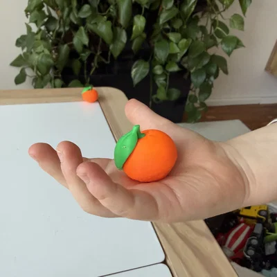 Mô hình Cam/Quýt thực tế (Orange/Mandarine)