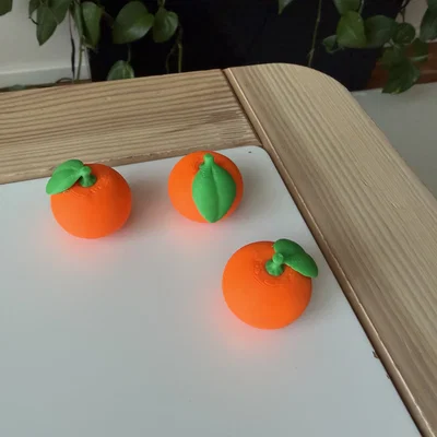 Mô hình Cam/Quýt thực tế (Orange/Mandarine)