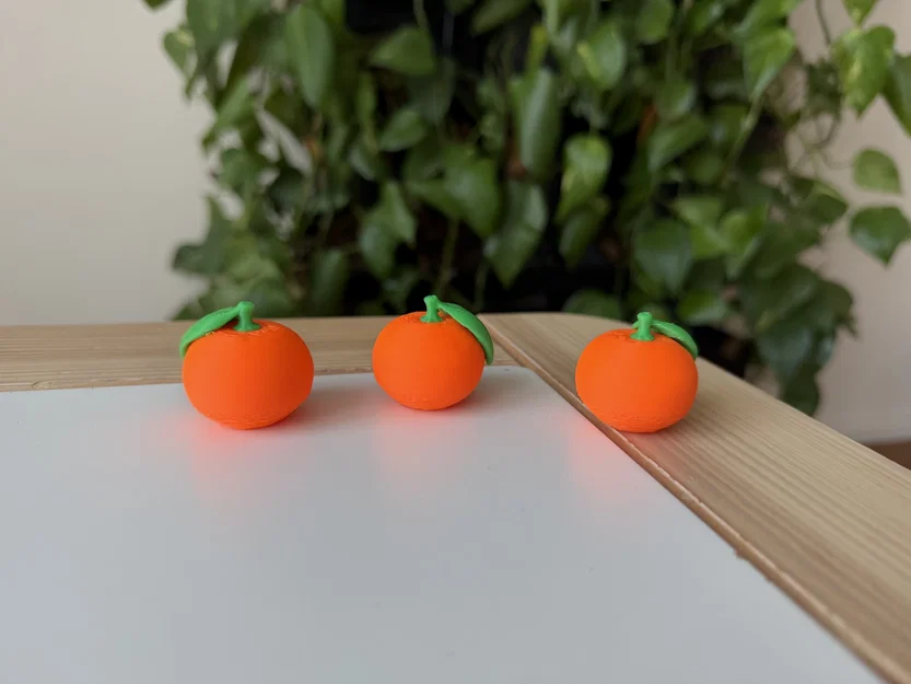Mô hình Cam/Quýt thực tế (Orange/Mandarine) - Image 6