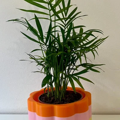 Chậu cây 3D đơn giản và đẹp mắt (Simple Planter)
