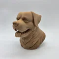 Tượng bán thân chó Rottweiler đang cười - Thumbnail 3