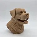 Tượng bán thân chó Rottweiler đang cười - Thumbnail 5