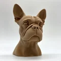 Tượng bán thân chó Boston Terrier - Thumbnail 1