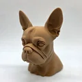 Tượng bán thân chó Boston Terrier - Thumbnail 4