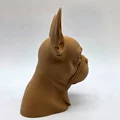 Tượng bán thân chó Boston Terrier - Thumbnail 6