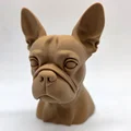 Tượng bán thân chó Boston Terrier - Thumbnail 7