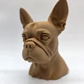 Tượng bán thân chó Boston Terrier - Thumbnail 8