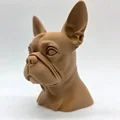 Tượng bán thân chó Boston Terrier - Thumbnail 9