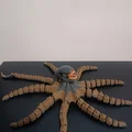 Mô hình Flexi Alien Squid: Bạch tuộc quái vật in 3D siêu linh hoạt - Thumbnail 3