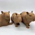 Bộ 3 bé Capybara siêu đáng yêu - Tùy chọn bề mặt Fuzzy Skin - Thumbnail 1