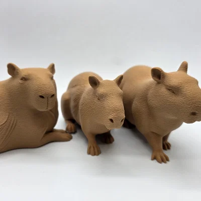 Bộ 3 bé Capybara siêu đáng yêu - Tùy chọn bề mặt Fuzzy Skin