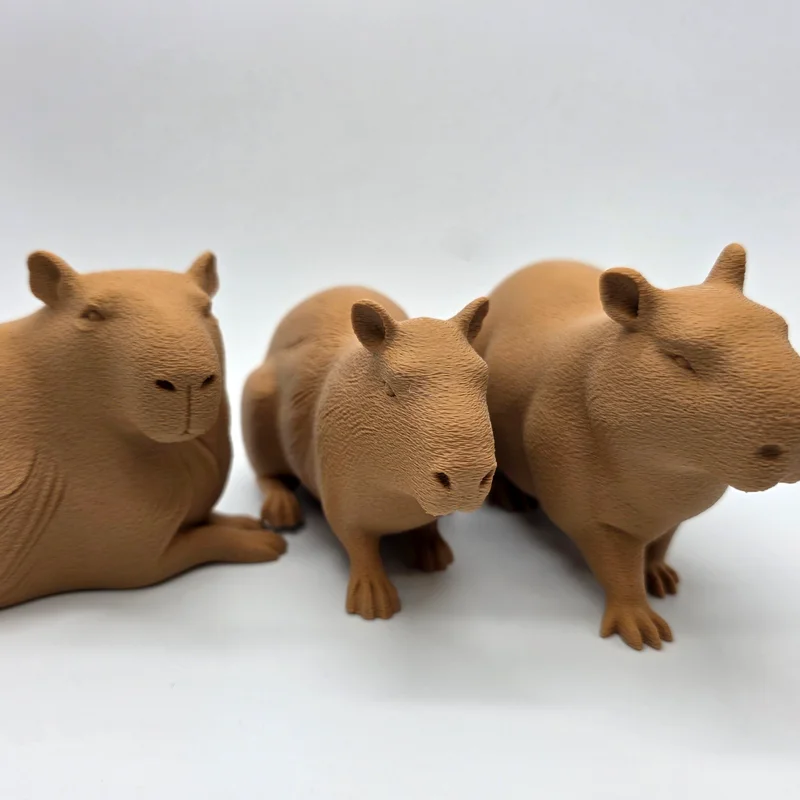 Bộ 3 bé Capybara siêu đáng yêu - Tùy chọn bề mặt Fuzzy Skin
