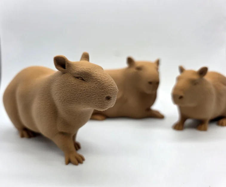 Bộ 3 bé Capybara siêu đáng yêu - Tùy chọn bề mặt Fuzzy Skin - Image 2