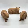Bộ 3 bé Capybara siêu đáng yêu - Tùy chọn bề mặt Fuzzy Skin - Thumbnail 3