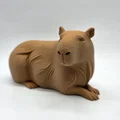 Bộ 3 bé Capybara siêu đáng yêu - Tùy chọn bề mặt Fuzzy Skin - Thumbnail 4
