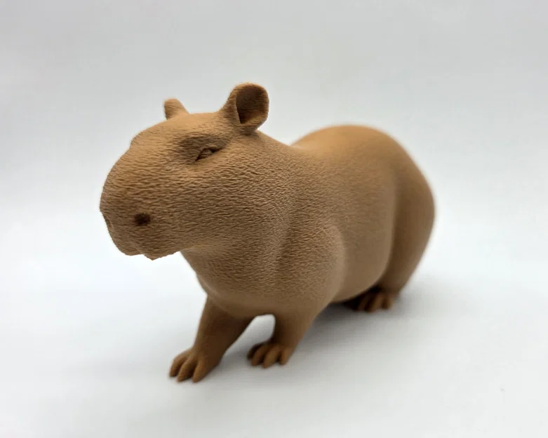 Bộ 3 bé Capybara siêu đáng yêu - Tùy chọn bề mặt Fuzzy Skin - Image 5