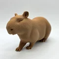 Bộ 3 bé Capybara siêu đáng yêu - Tùy chọn bề mặt Fuzzy Skin - Thumbnail 5
