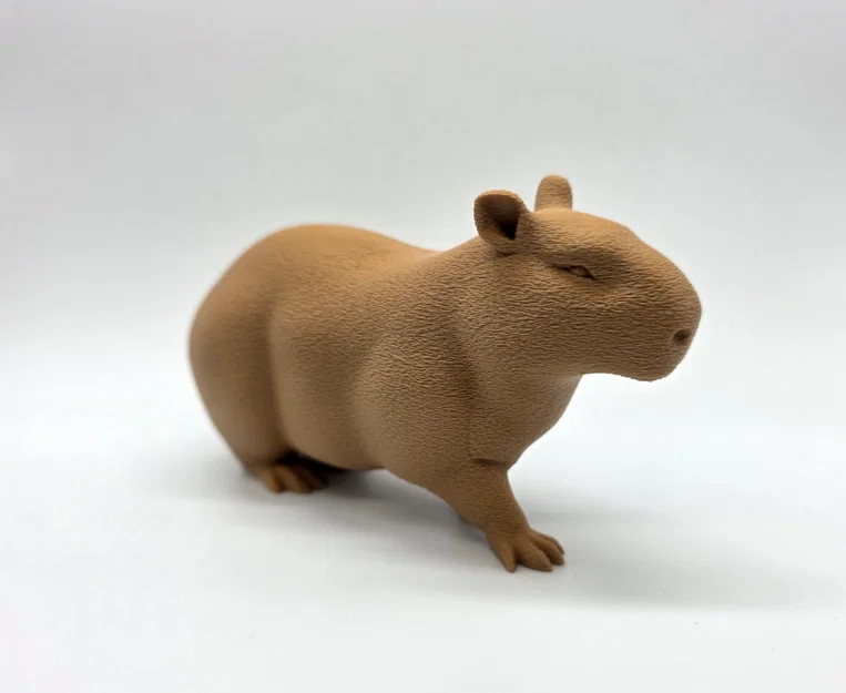 Bộ 3 bé Capybara siêu đáng yêu - Tùy chọn bề mặt Fuzzy Skin - Image 6