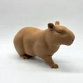Bộ 3 bé Capybara siêu đáng yêu - Tùy chọn bề mặt Fuzzy Skin - Thumbnail 6