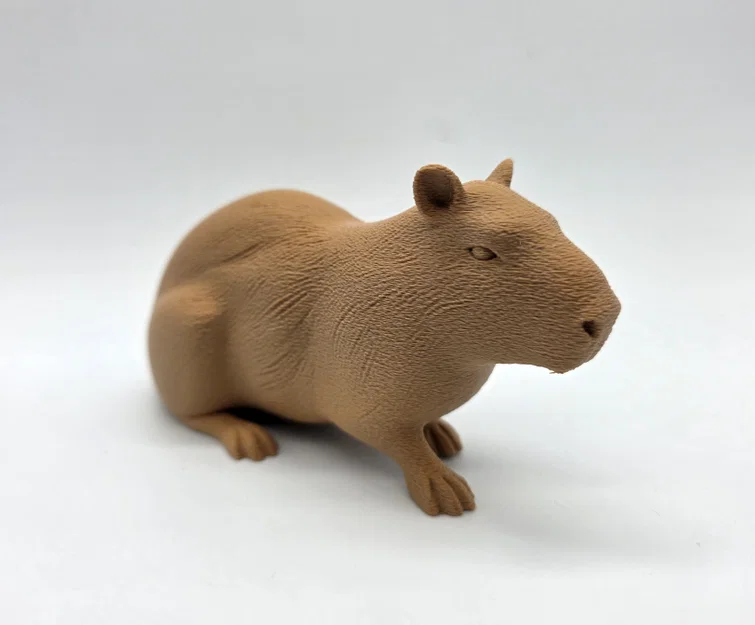 Bộ 3 bé Capybara siêu đáng yêu - Tùy chọn bề mặt Fuzzy Skin - Image 7
