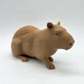Bộ 3 bé Capybara siêu đáng yêu - Tùy chọn bề mặt Fuzzy Skin - Thumbnail 7