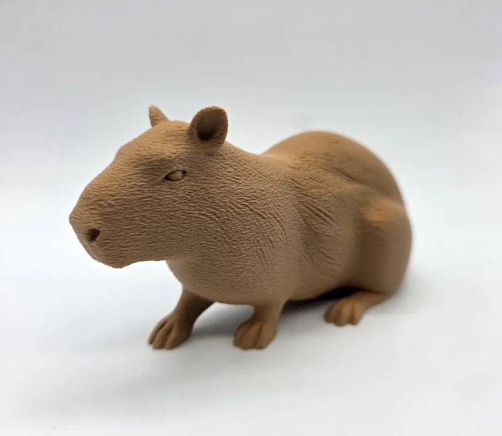 Bộ 3 bé Capybara siêu đáng yêu - Tùy chọn bề mặt Fuzzy Skin - Image 8