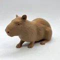 Bộ 3 bé Capybara siêu đáng yêu - Tùy chọn bề mặt Fuzzy Skin - Thumbnail 8