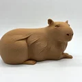 Bộ 3 bé Capybara siêu đáng yêu - Tùy chọn bề mặt Fuzzy Skin - Thumbnail 9