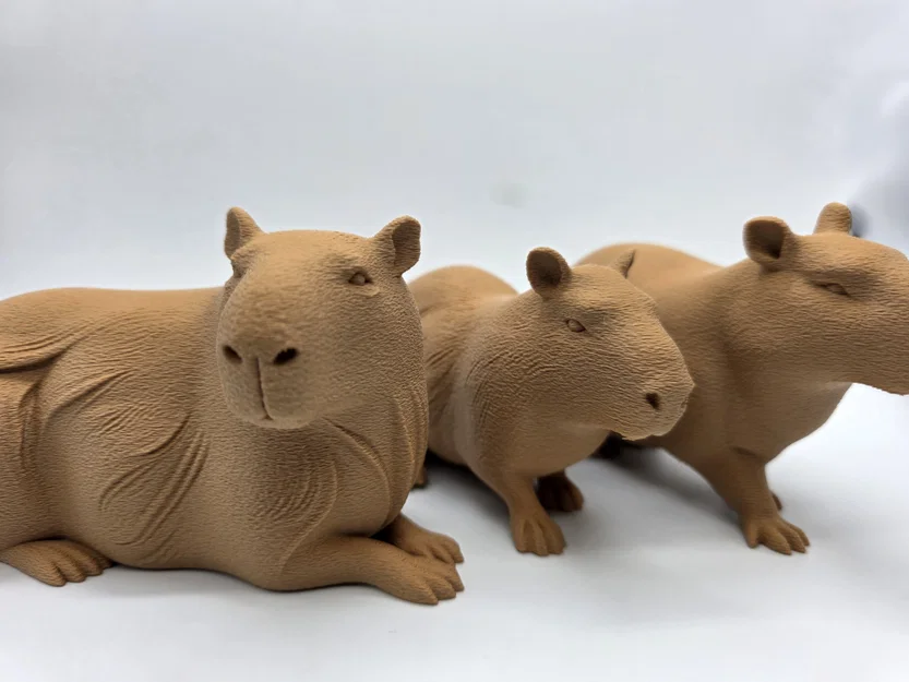 Bộ 3 bé Capybara siêu đáng yêu - Tùy chọn bề mặt Fuzzy Skin - Image 10