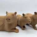 Bộ 3 bé Capybara siêu đáng yêu - Tùy chọn bề mặt Fuzzy Skin - Thumbnail 10