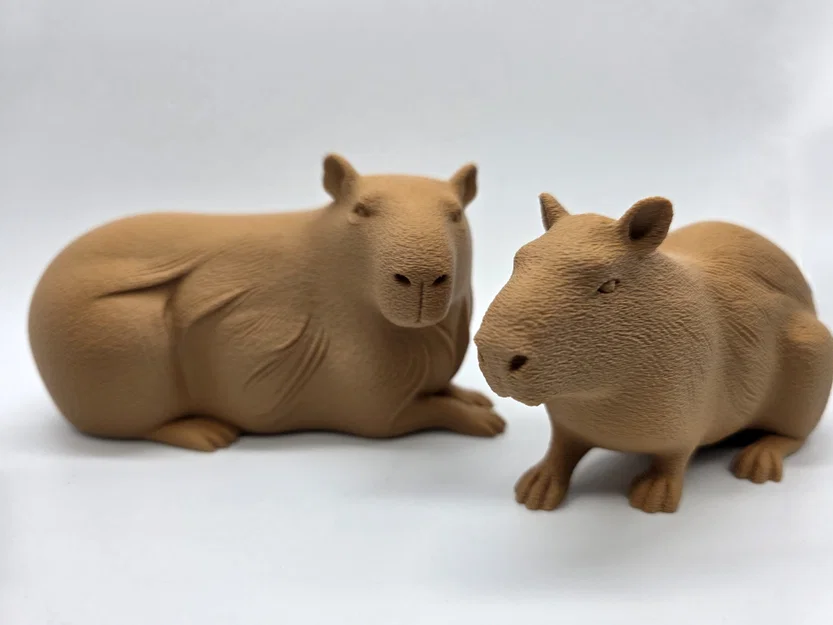Bộ 3 bé Capybara siêu đáng yêu - Tùy chọn bề mặt Fuzzy Skin - Image 11