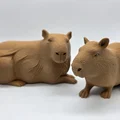 Bộ 3 bé Capybara siêu đáng yêu - Tùy chọn bề mặt Fuzzy Skin - Thumbnail 11