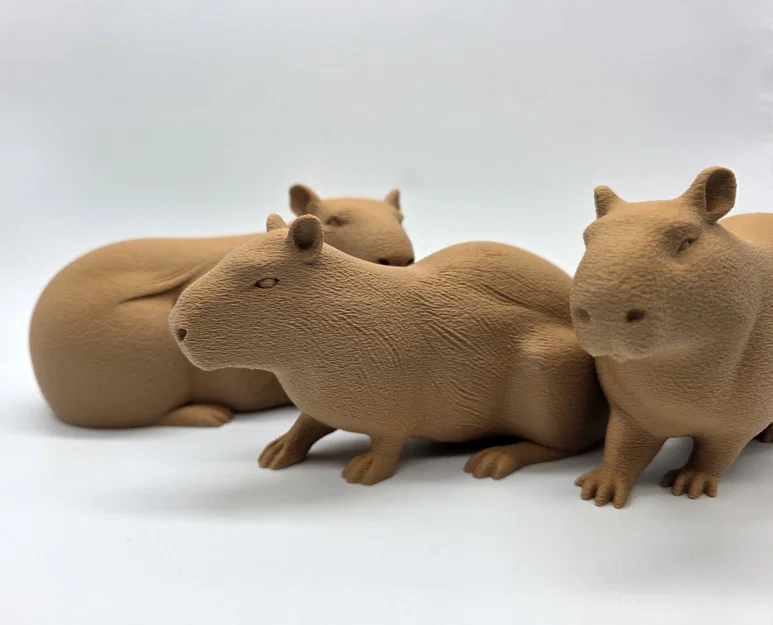 Bộ 3 bé Capybara siêu đáng yêu - Tùy chọn bề mặt Fuzzy Skin - Image 12