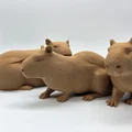 Bộ 3 bé Capybara siêu đáng yêu - Tùy chọn bề mặt Fuzzy Skin - Thumbnail 12