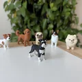 Mô hình Miniature Schnauzer - Thumbnail 1