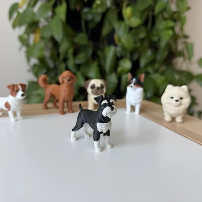 Mô hình Miniature Schnauzer