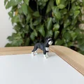 Mô hình Miniature Schnauzer - Thumbnail 3